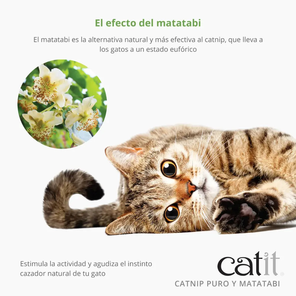 Catit Mezcla de Catnip y Matatabi Secos 28 g al mejor precio -todoastorenimal.com