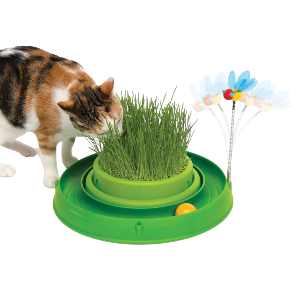 Catit Play Juguete Interactivo Circuitos Germinador Gatos al mejor precio -todoastorenimal.com