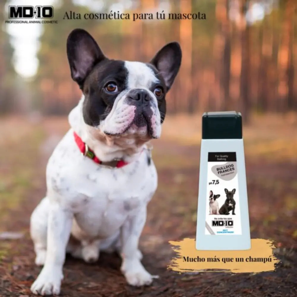 Champú Bulldog Frances 300Cc Md10 al mejor precio -todoastorenimal.com