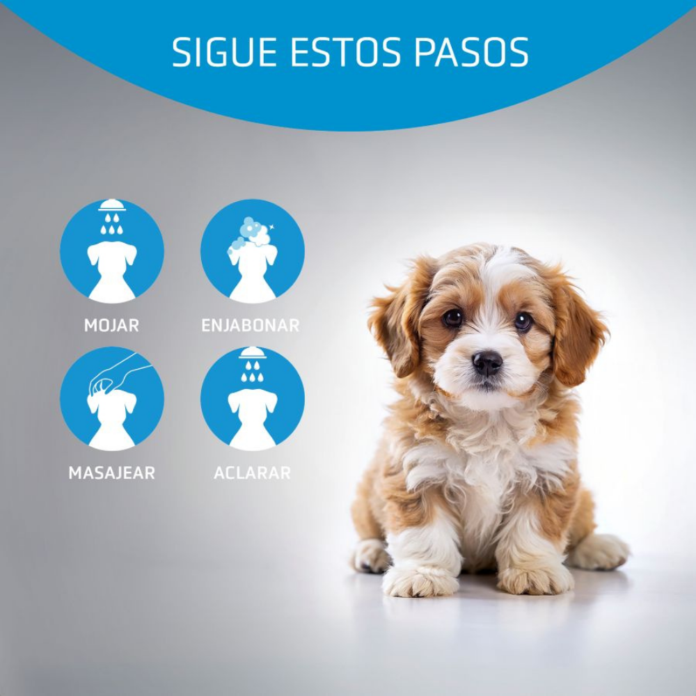 Champú Perro Baby 250 ml Artero al mejor precio -todoastorenimal.com