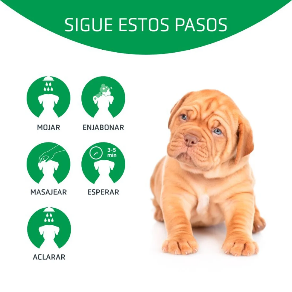 Champú Perro Bye Bye 250 ml Artero al mejor precio -todoastorenimal.com