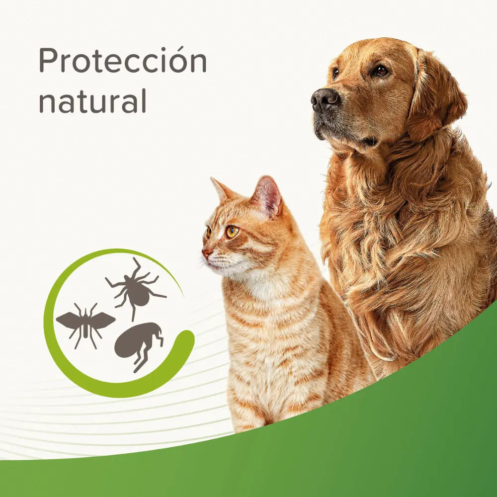 Champú Repulsivo Antiparasitario al mejor precio -todoastorenimal.com