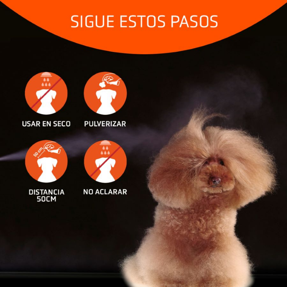 Champú Seco Higiene Speed 300 ml Artero al mejor precio -todoastorenimal.com