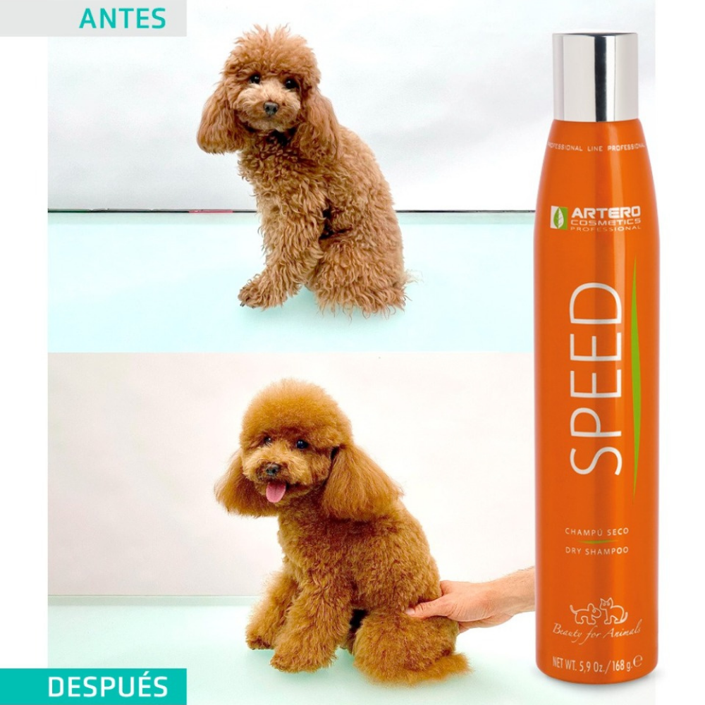 Champú Seco Higiene Speed 300 ml Artero al mejor precio -todoastorenimal.com