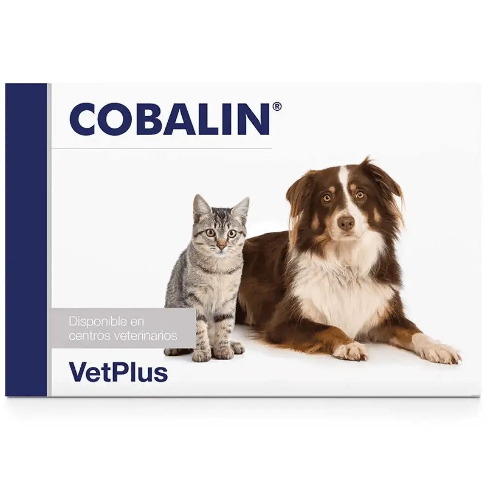 Cobalin 60 Cápsulas Vitamina B12 y B9 (Ácido Fólico) Complemento para Perros y Gatos al mejor precio -todoastorenimal.com