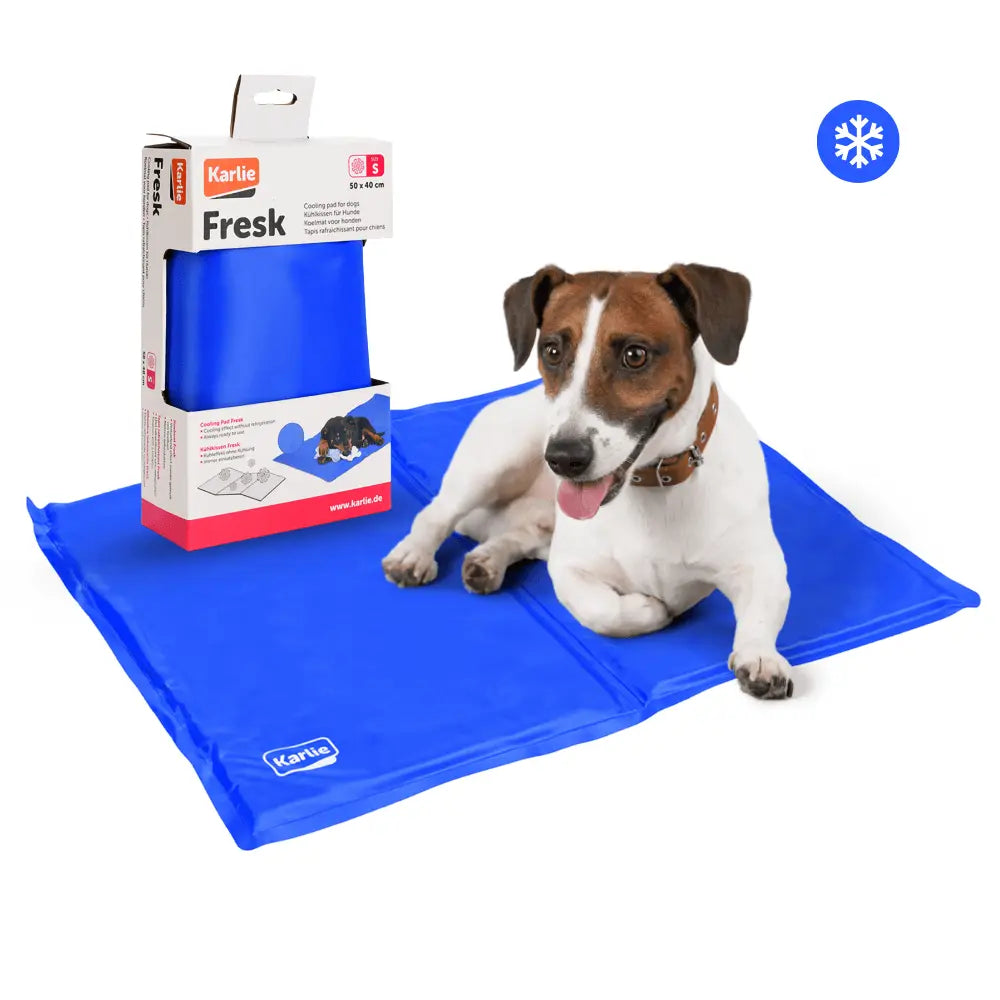 Colchoneta Refrigerante para Perros | Manta Gel Frío Alfombrilla para Mascotas al mejor precio -todoastorenimal.com