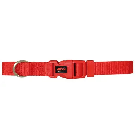 Collar Basic Fucsia 15Mm X 33-40Cm NAYECO, S.L.