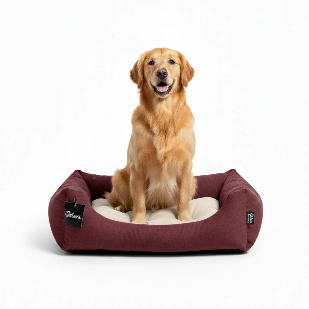 Cuna para Perros Gulliver Welova al mejor precio -todoastorenimal.com