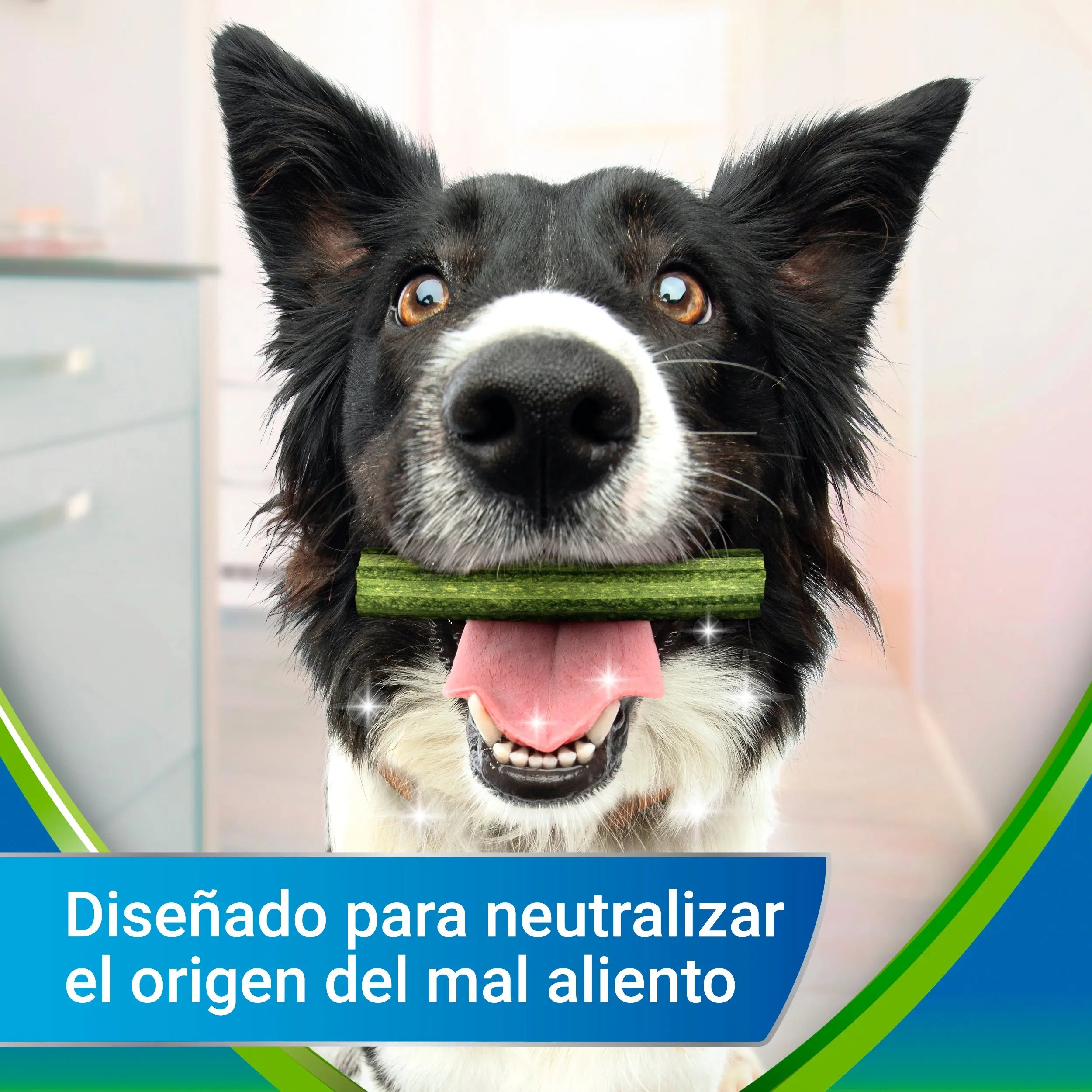 Dentalife Activfresh Dog Small 7 Sticks al mejor precio -todoastorenimal.com