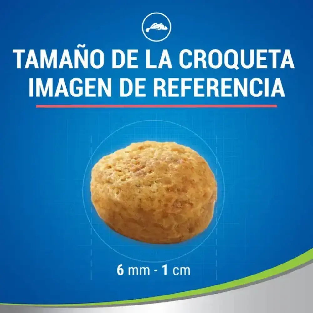 Dentalife Cat Salmón 40 g al mejor precio -todoastorenimal.com