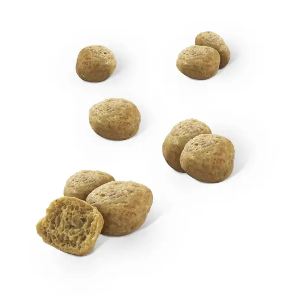 Dentalife Cat Salmón 40 g al mejor precio -todoastorenimal.com