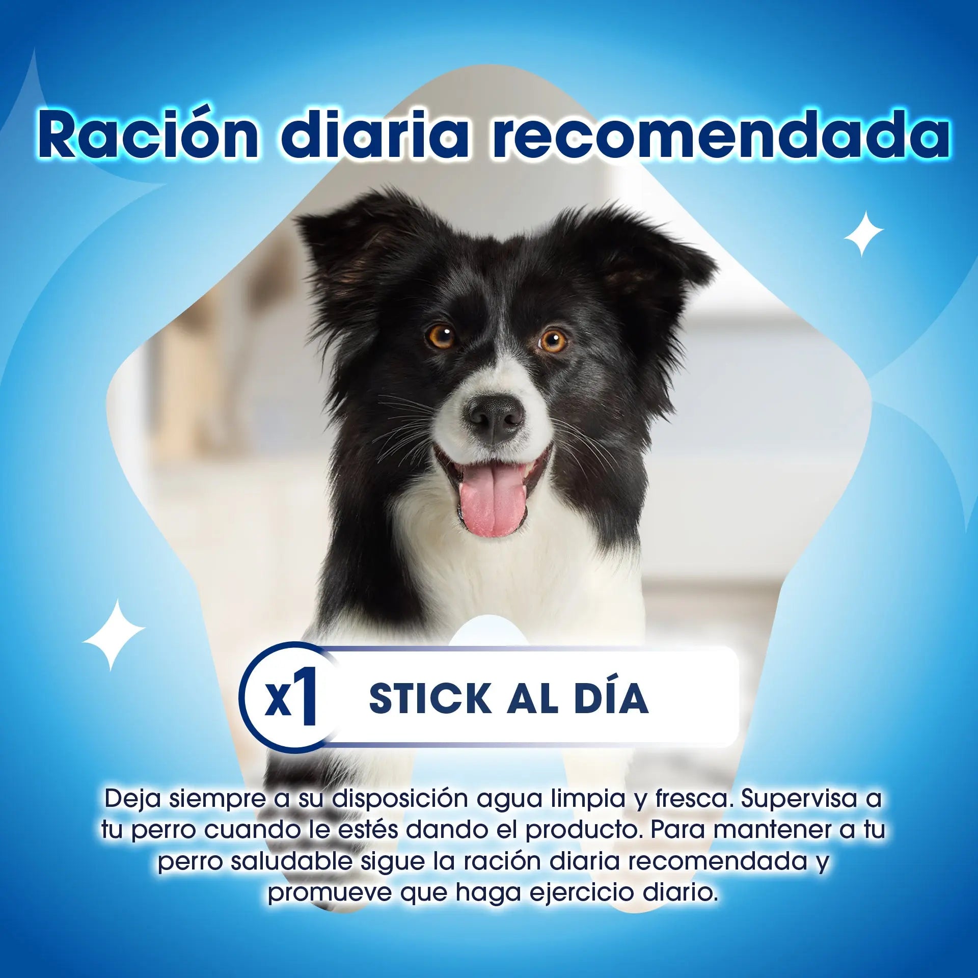Dentalife Dog Medium 42 Sticks al mejor precio -todoastorenimal.com