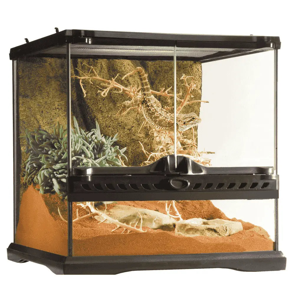 Exo Terra Terrario de Cristal Wide Nano 10,5 L al mejor precio -todoastorenimal.com