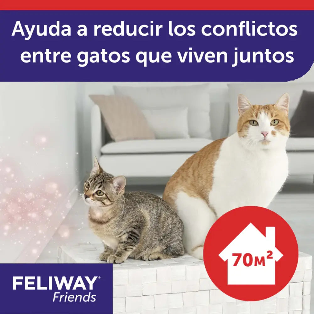 Feliway Friends Difusor+Recambio 48 ml al mejor precio -todoastorenimal.com