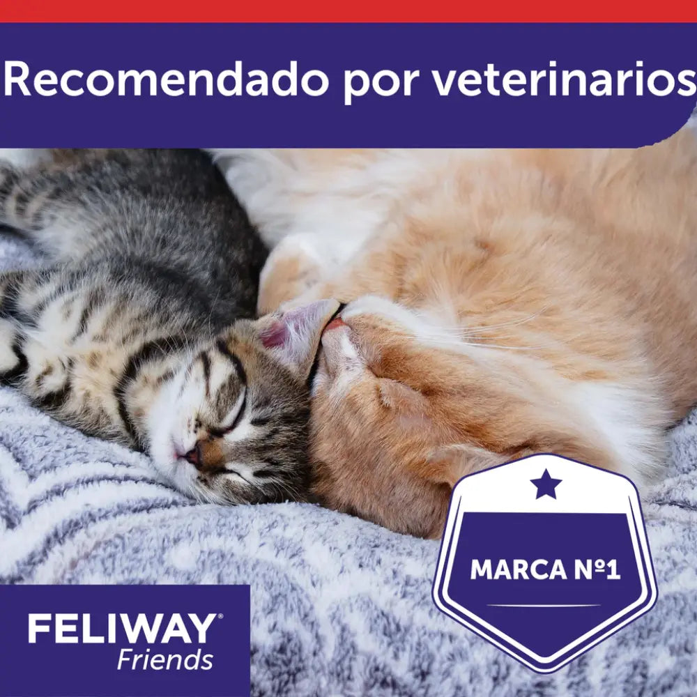 Feliway Friends Difusor+Recambio 48 ml al mejor precio -todoastorenimal.com