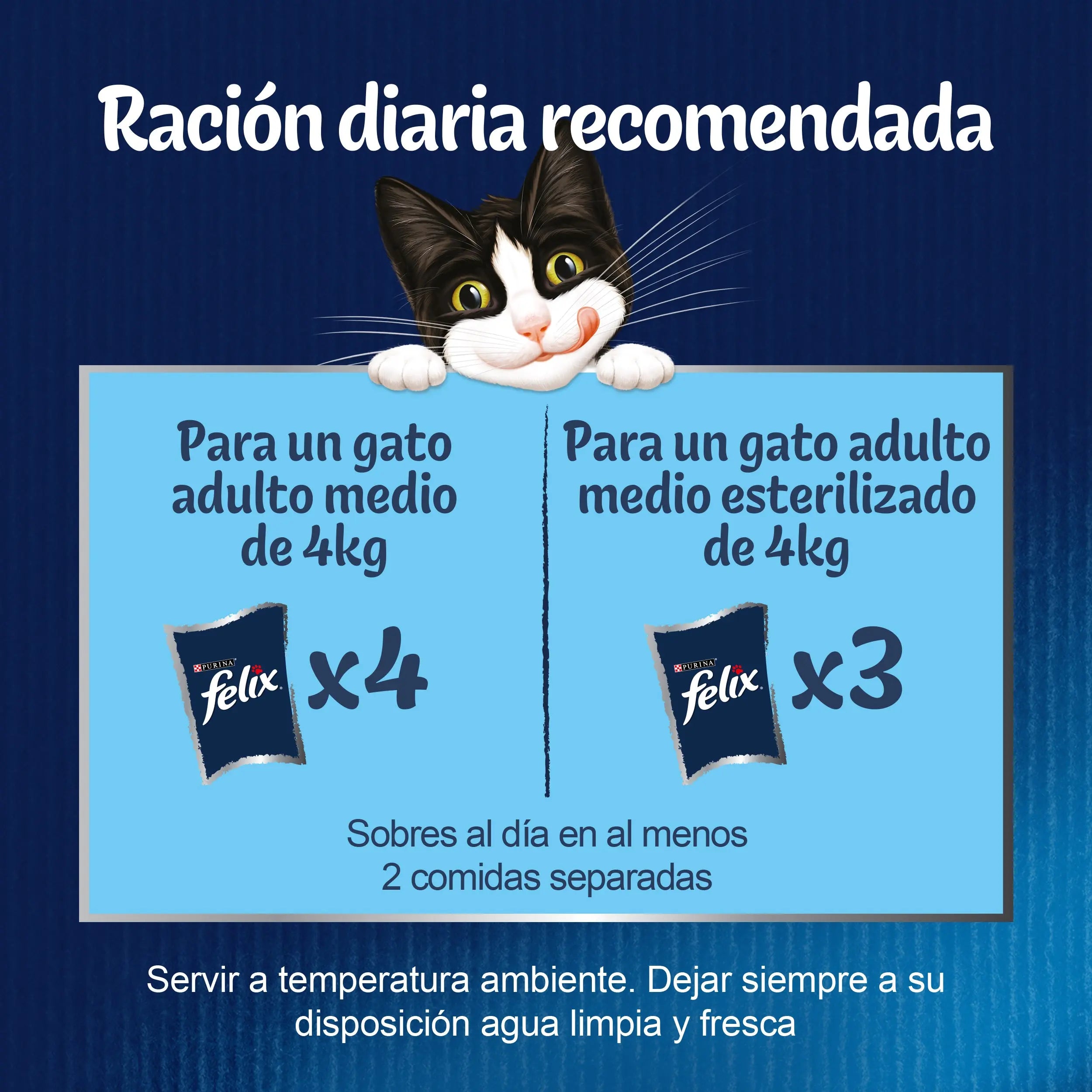 Felix Fantastic Countryside Pack 24x85 g al mejor precio -todoastorenimal.com