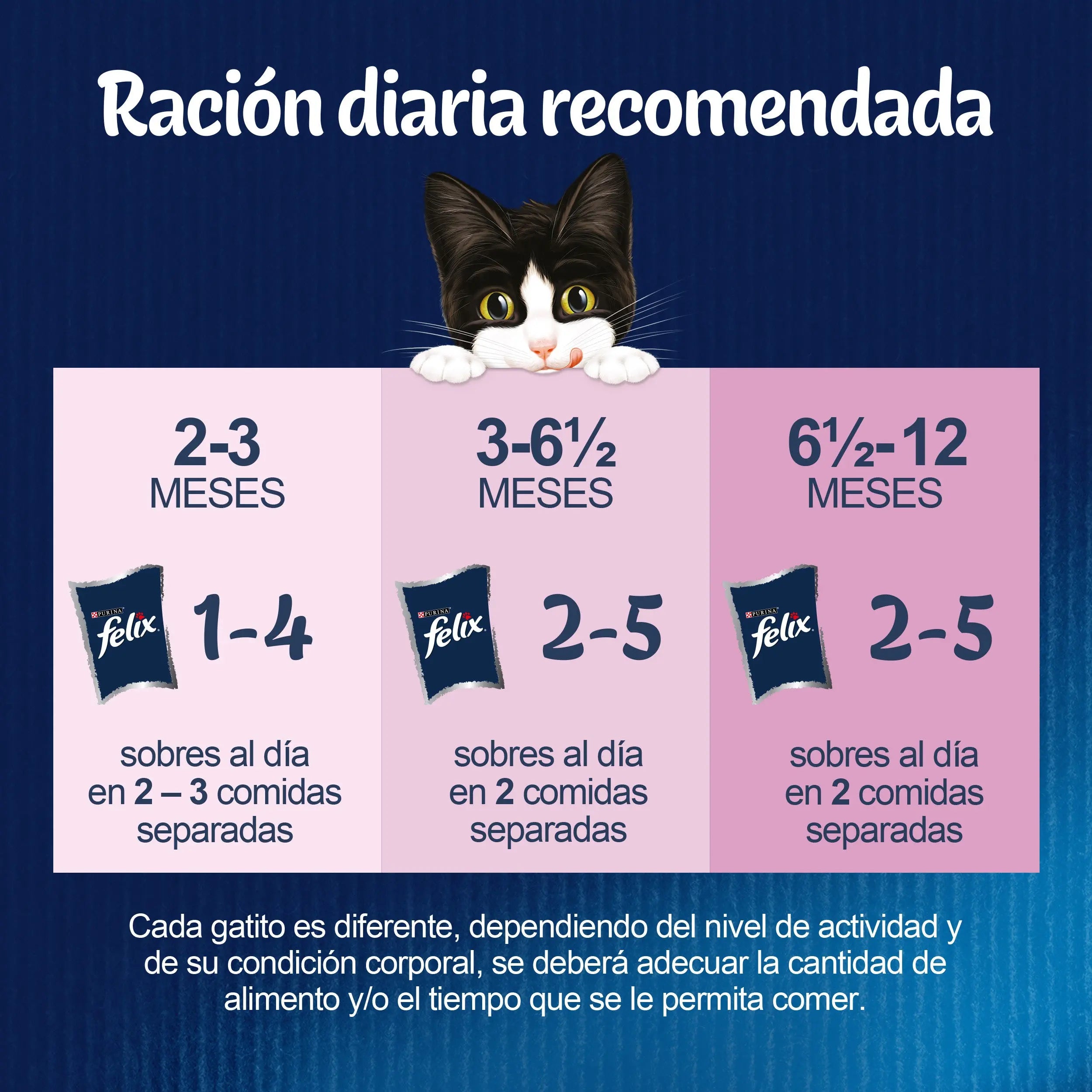 Felix Fantastic Junior Pack 4x85 g al mejor precio -todoastorenimal.com