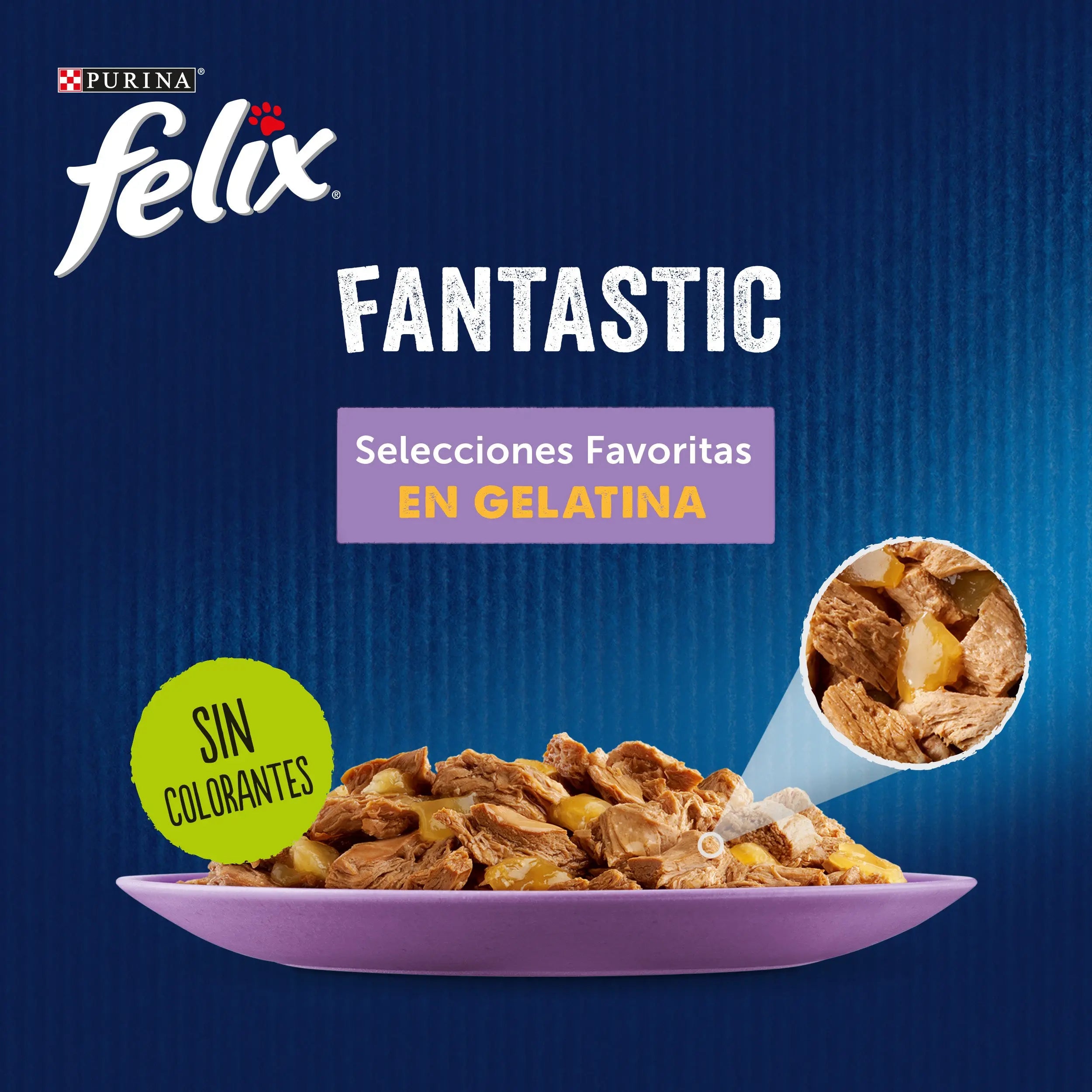 Felix Fantastic Surtido Gelatina Pack 12X85 g al mejor precio -todoastorenimal.com