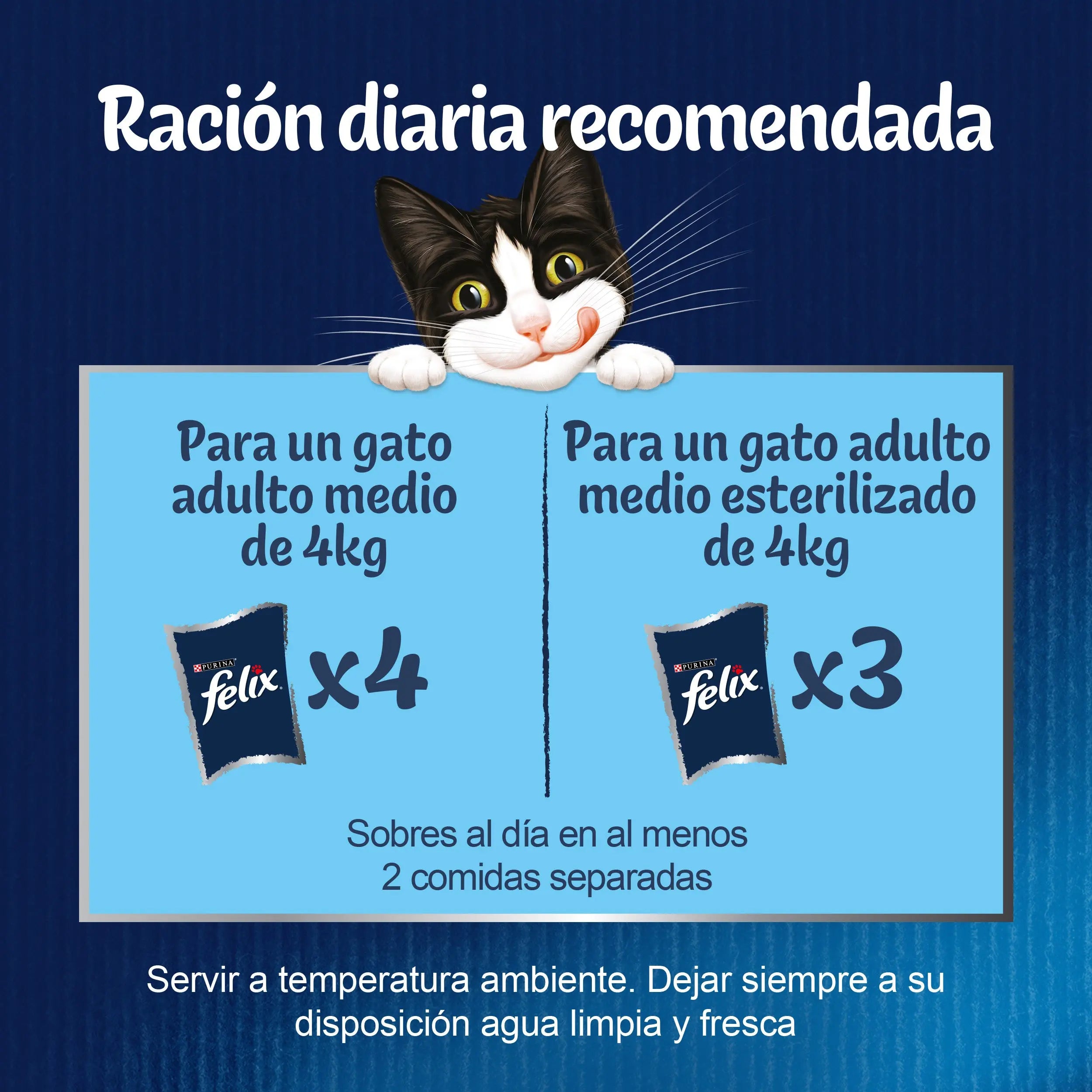 Felix Fantastic Surtido Gelatina Pack 12X85 g al mejor precio -todoastorenimal.com