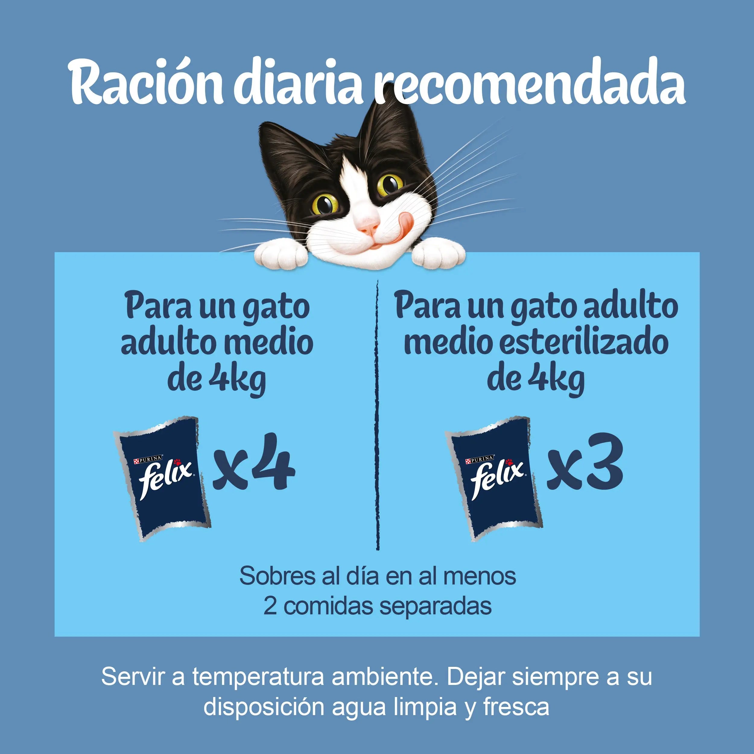 Felix Original Selección Pescados Pack 4x85 g al mejor precio -todoastorenimal.com