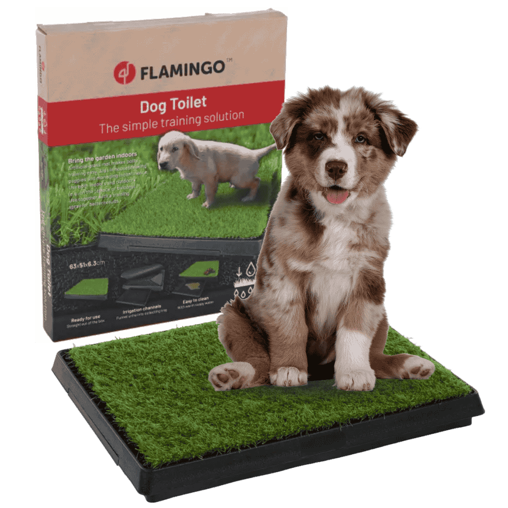 Flamingo Bandeja Arenero de Hierba Pelou para Perros con Soporte Incluido 63x51x6,3cm al mejor precio -todoastorenimal.com