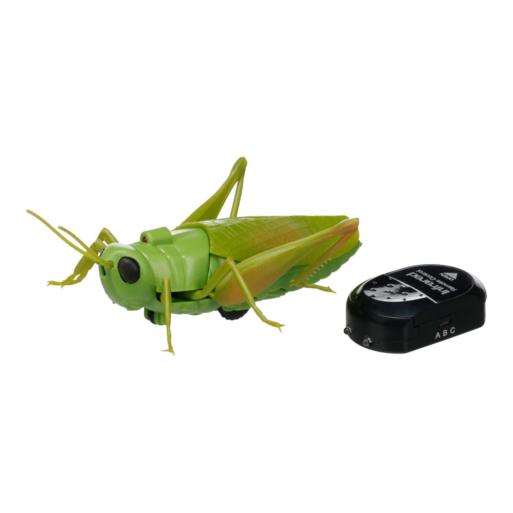Flamingo Crawla Saltamontes Verde Juguete Interactivo para Gatos al mejor precio -todoastorenimal.com