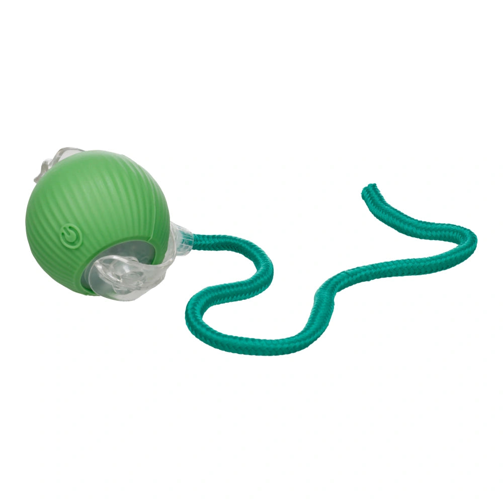 Flamingo Sili Juguete Electrónico Pelota con Cuerda Verde para Gatos al mejor precio -todoastorenimal.com