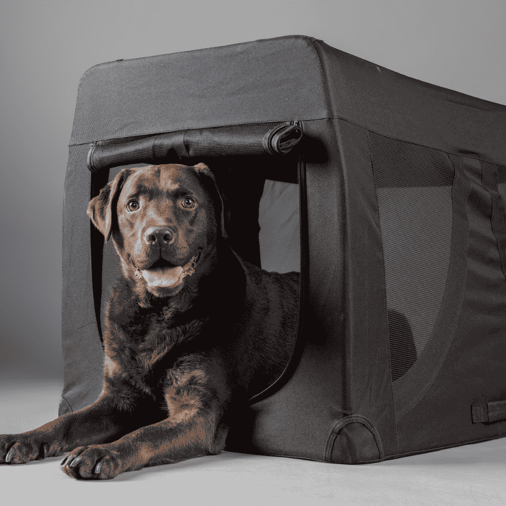 Flamingo Transportín Plegable Gepetto Negro para Mascotas al mejor precio -todoastorenimal.com