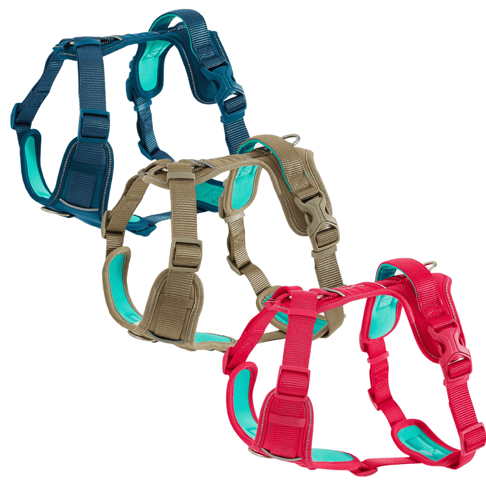 Freedog Arnés Limitless para Perros al mejor precio -todoastorenimal.com