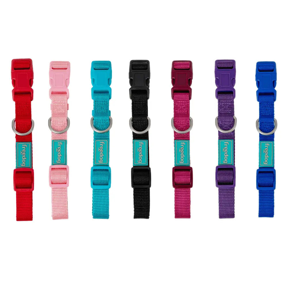 Freedog Collar Nylon Basic para Perros al mejor precio -todoastorenimal.com
