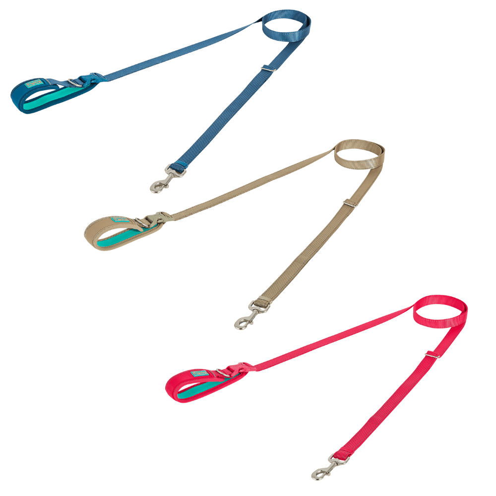 Freedog Correa Limitless para Perros al mejor precio -todoastorenimal.com
