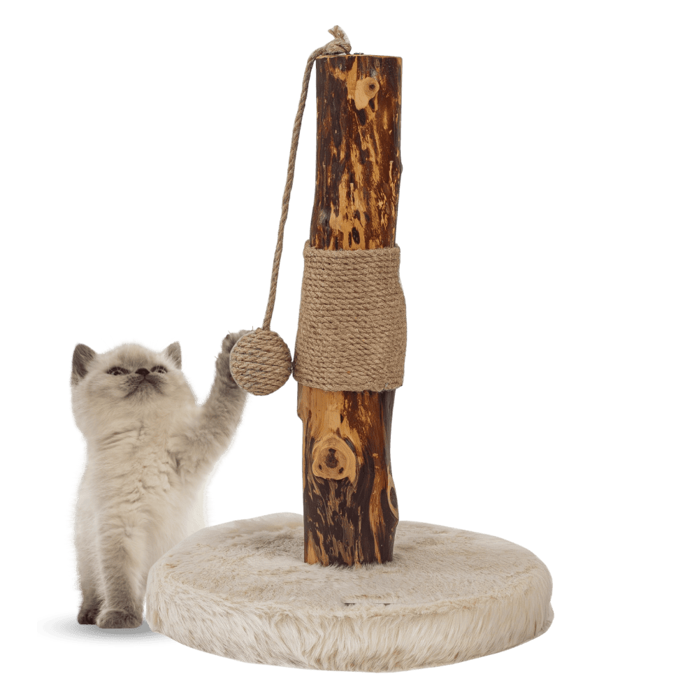 Freedog Rascador ZenPear Pole 30x30x43cm con Tronco Natural para Gatos al mejor precio -todoastorenimal.com