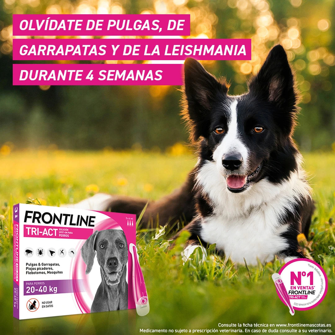 Frontline Tri-Act Pack 3 Pipetas Antiparasitarias para Perros al mejor precio -todoastorenimal.com