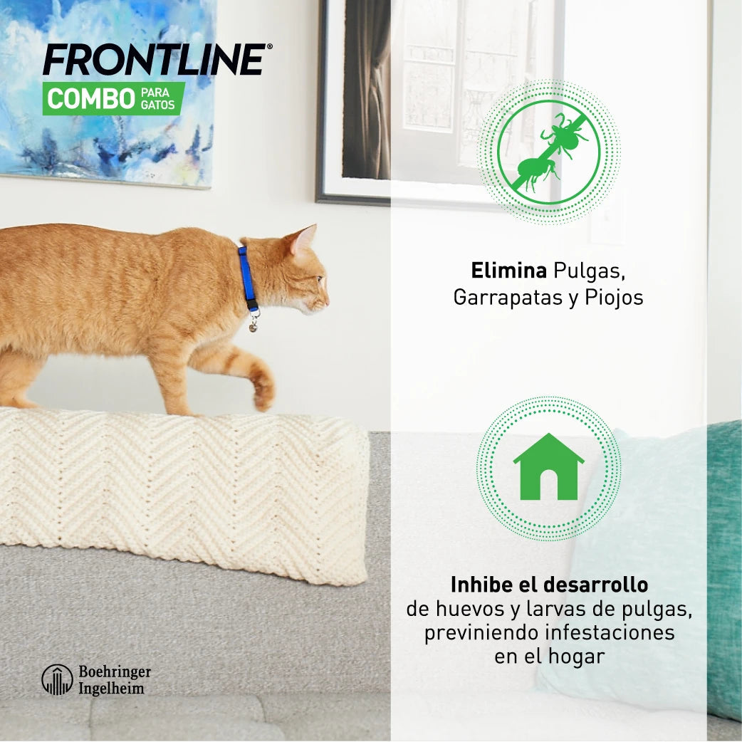 Frontline® Combo Antiparasitario Spot On para Gatos 3 Pipetas al mejor precio -todoastorenimal.com