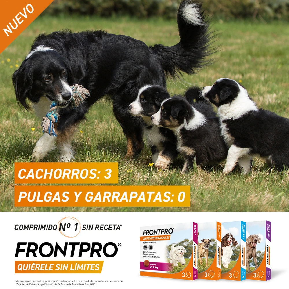 Frontpro Comprimidos Masticables Antiparasitarios para Perros 3 uds. al mejor precio -todoastorenimal.com