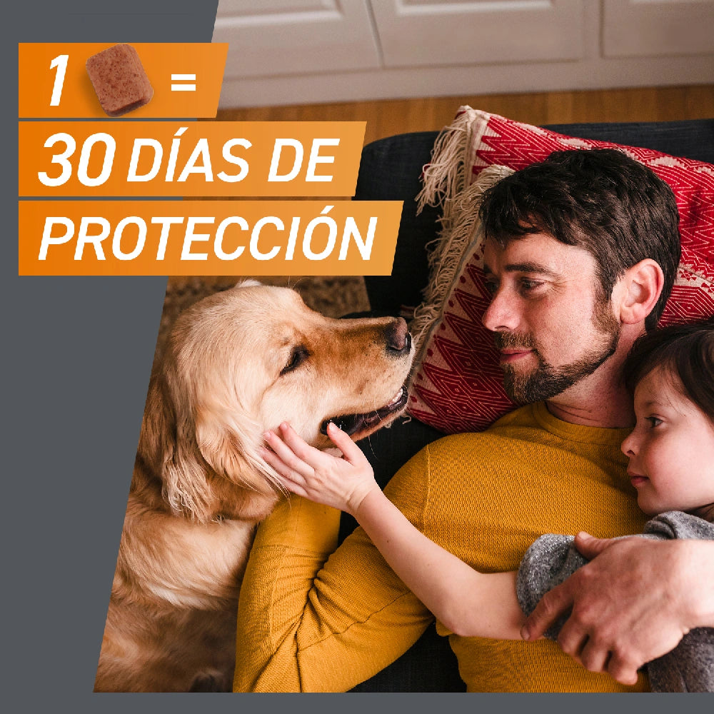 Frontpro Comprimidos Masticables Antiparasitarios para Perros 3 uds. al mejor precio -todoastorenimal.com