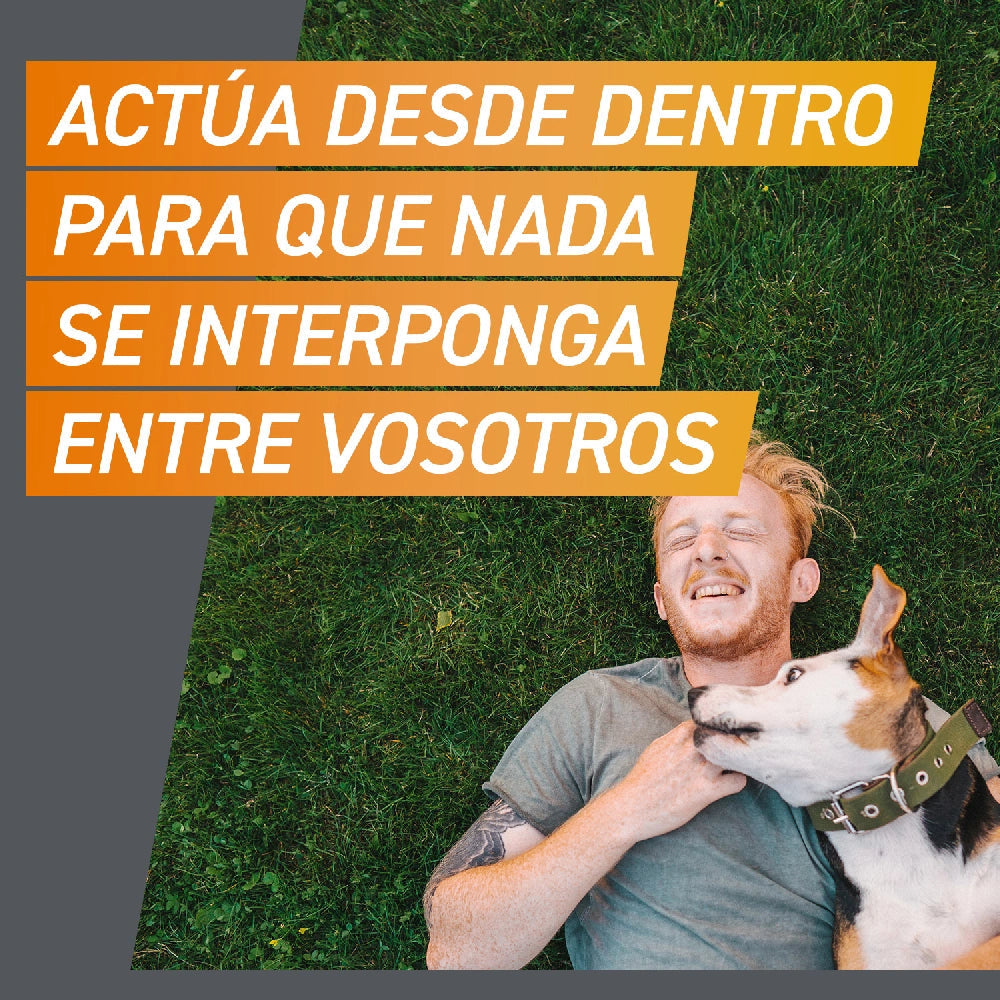 Frontpro Comprimidos Masticables Antiparasitarios para Perros 3 uds. al mejor precio -todoastorenimal.com
