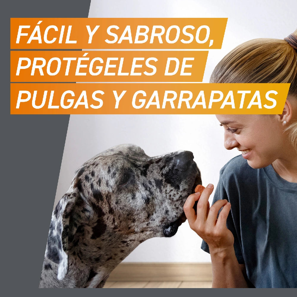 Frontpro Comprimidos Masticables Antiparasitarios para Perros 3 uds. al mejor precio -todoastorenimal.com