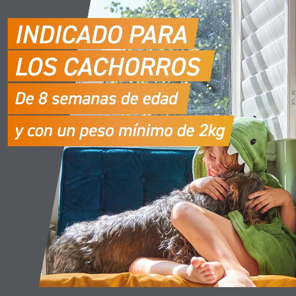 Frontpro Comprimidos Masticables Antiparasitarios para Perros 3 uds. al mejor precio -todoastorenimal.com