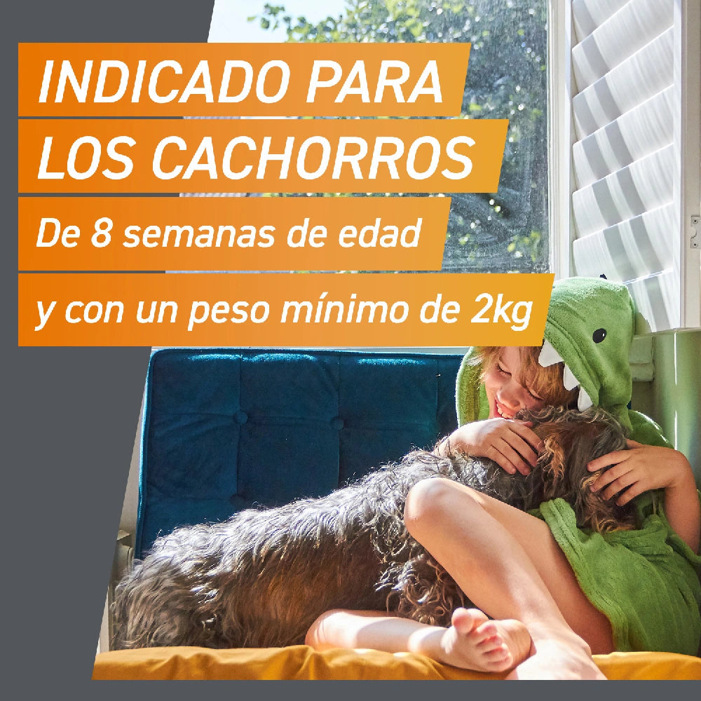 Frontpro Comprimidos Masticables Antiparasitarios para Perros 3 uds. al mejor precio -todoastorenimal.com