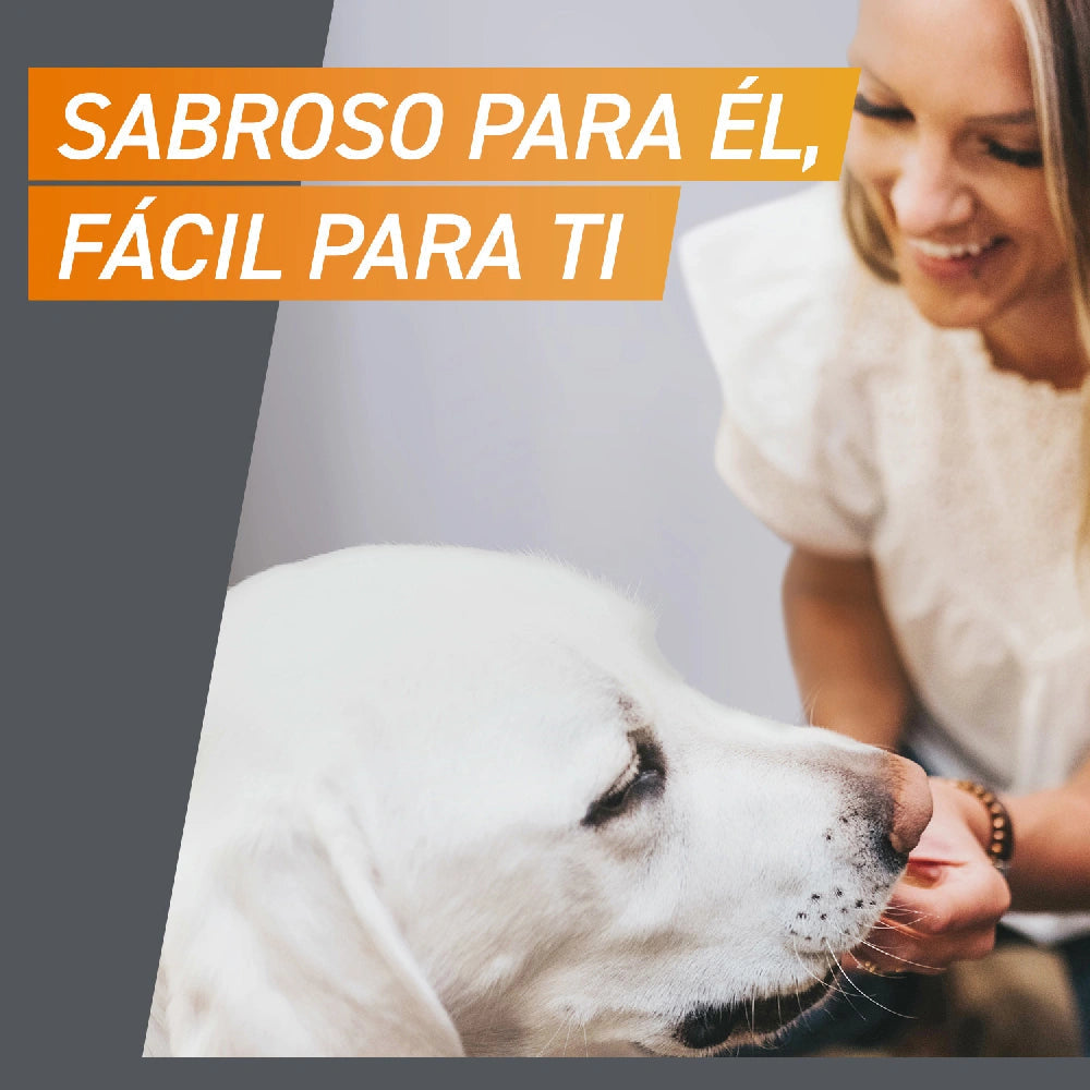Frontpro Comprimidos Masticables Antiparasitarios para Perros 3 uds. al mejor precio -todoastorenimal.com
