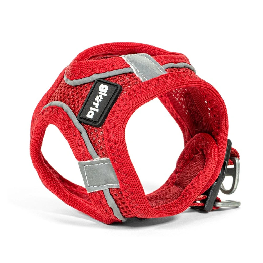 Gloria Arnés Air Mesh Trek Star para Perros al mejor precio -todoastorenimal.com