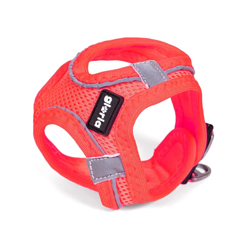 Gloria Arnés Air Mesh Trek Star para Perros al mejor precio -todoastorenimal.com