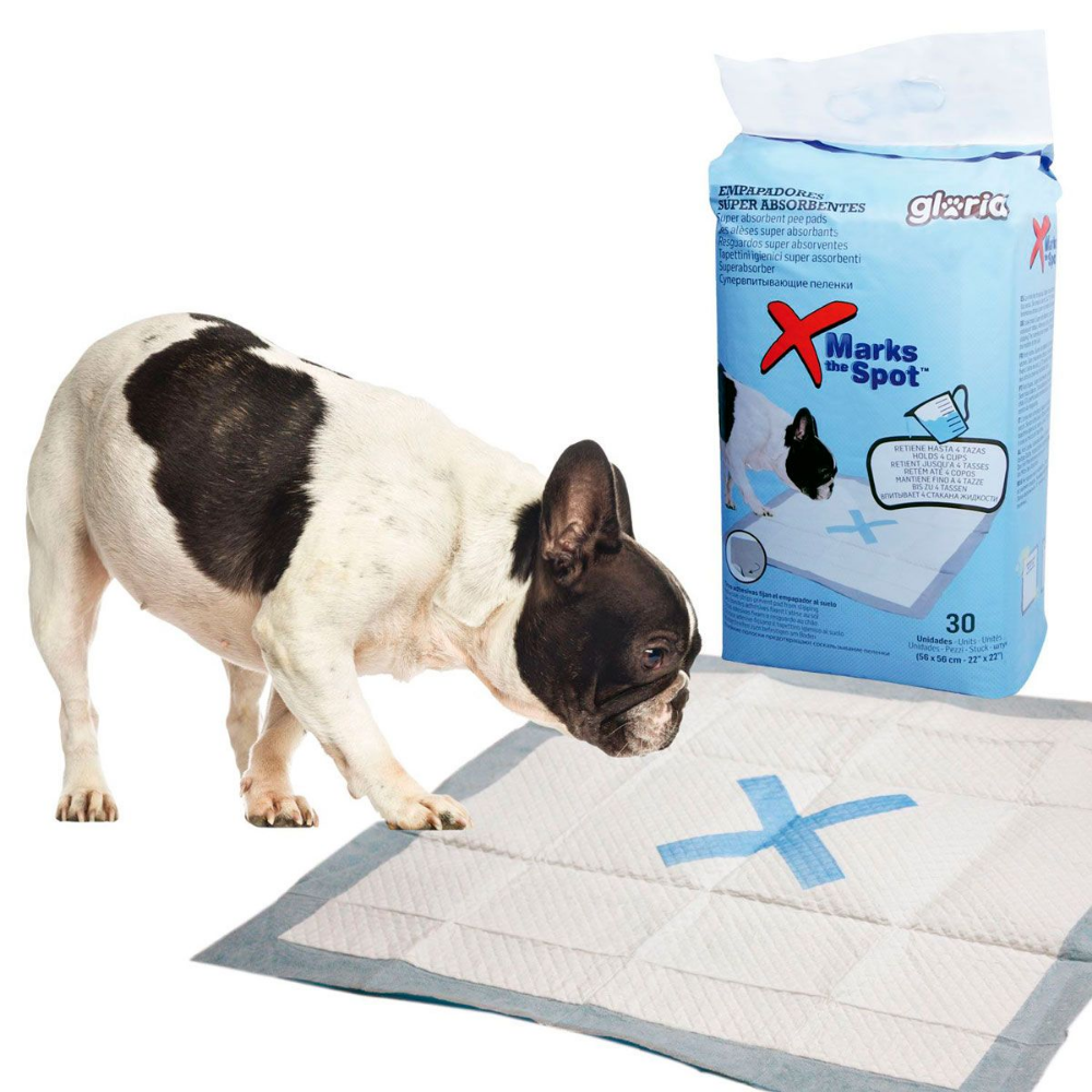 Gloria Empapador Súper Absorbentes 56x56 cm Pack 30 uds | Ideal para Cachorros o Perros Sénior al mejor precio -todoastorenimal.com