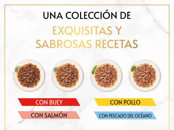 Gourmet Gold Delicias Suculentas Surtido Pack 8X85 g al mejor precio -todoastorenimal.com