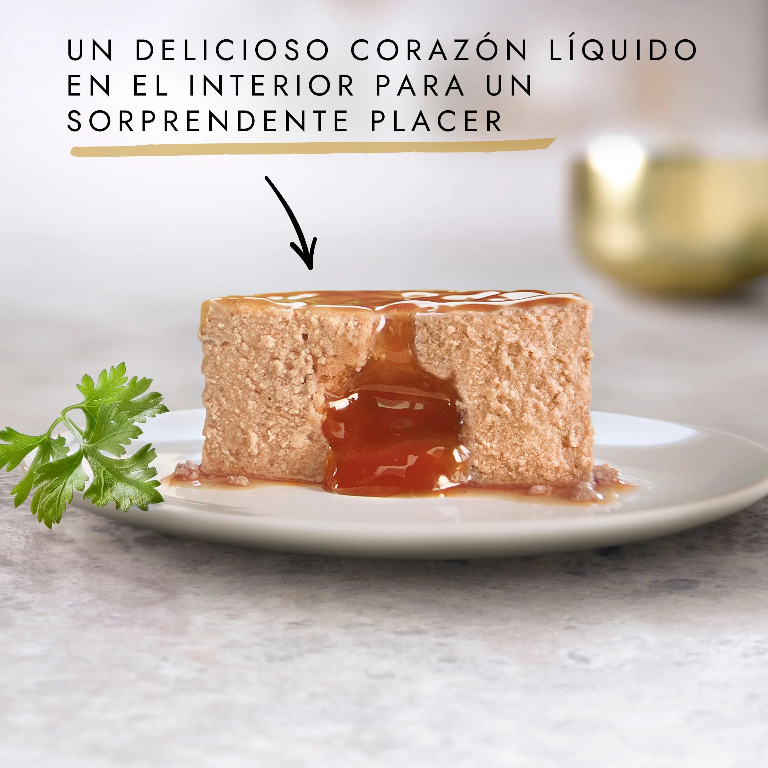 Gourmet Gold Fondant Atún 85 g al mejor precio -todoastorenimal.com