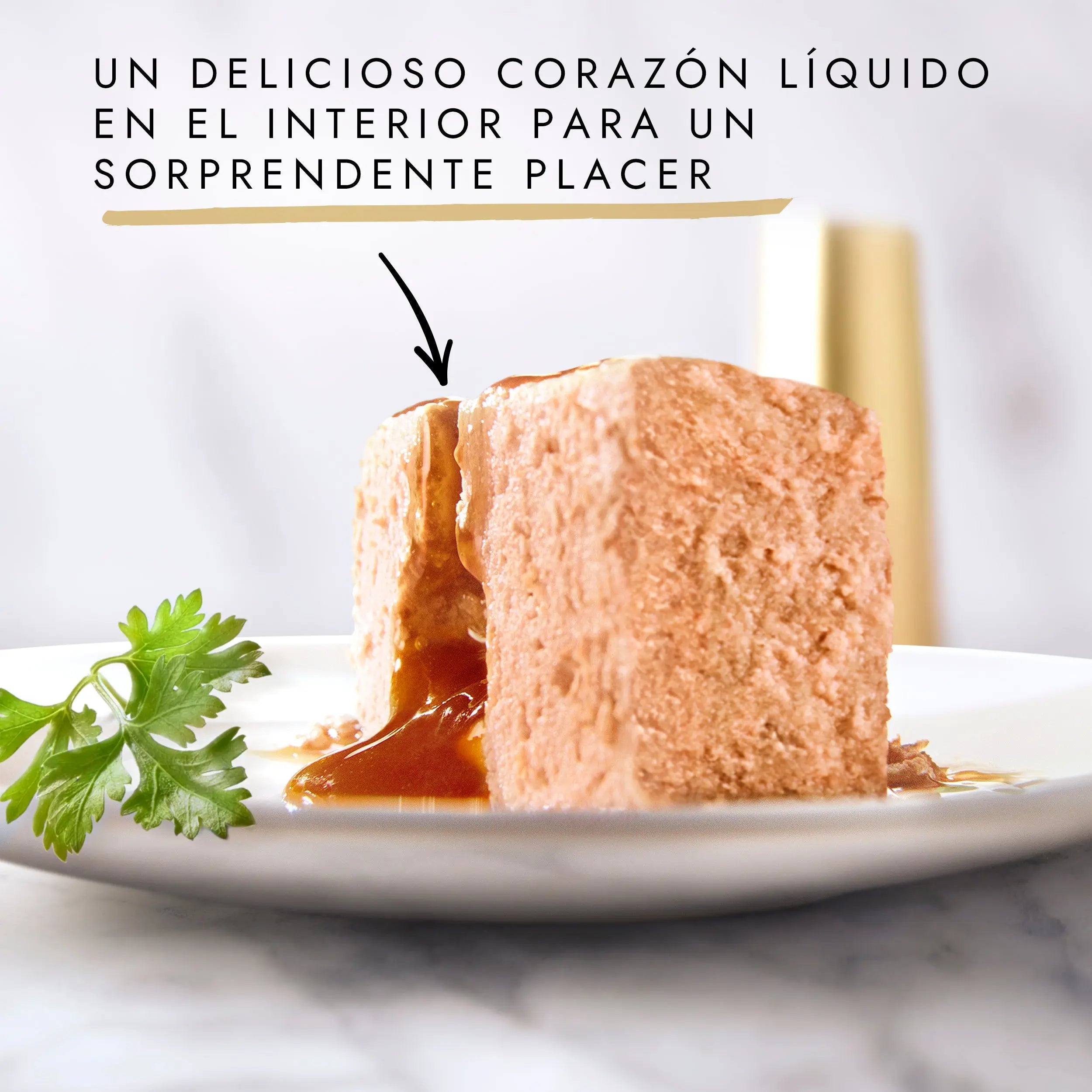 Gourmet Gold Fondant Pollo 85 g al mejor precio -todoastorenimal.com