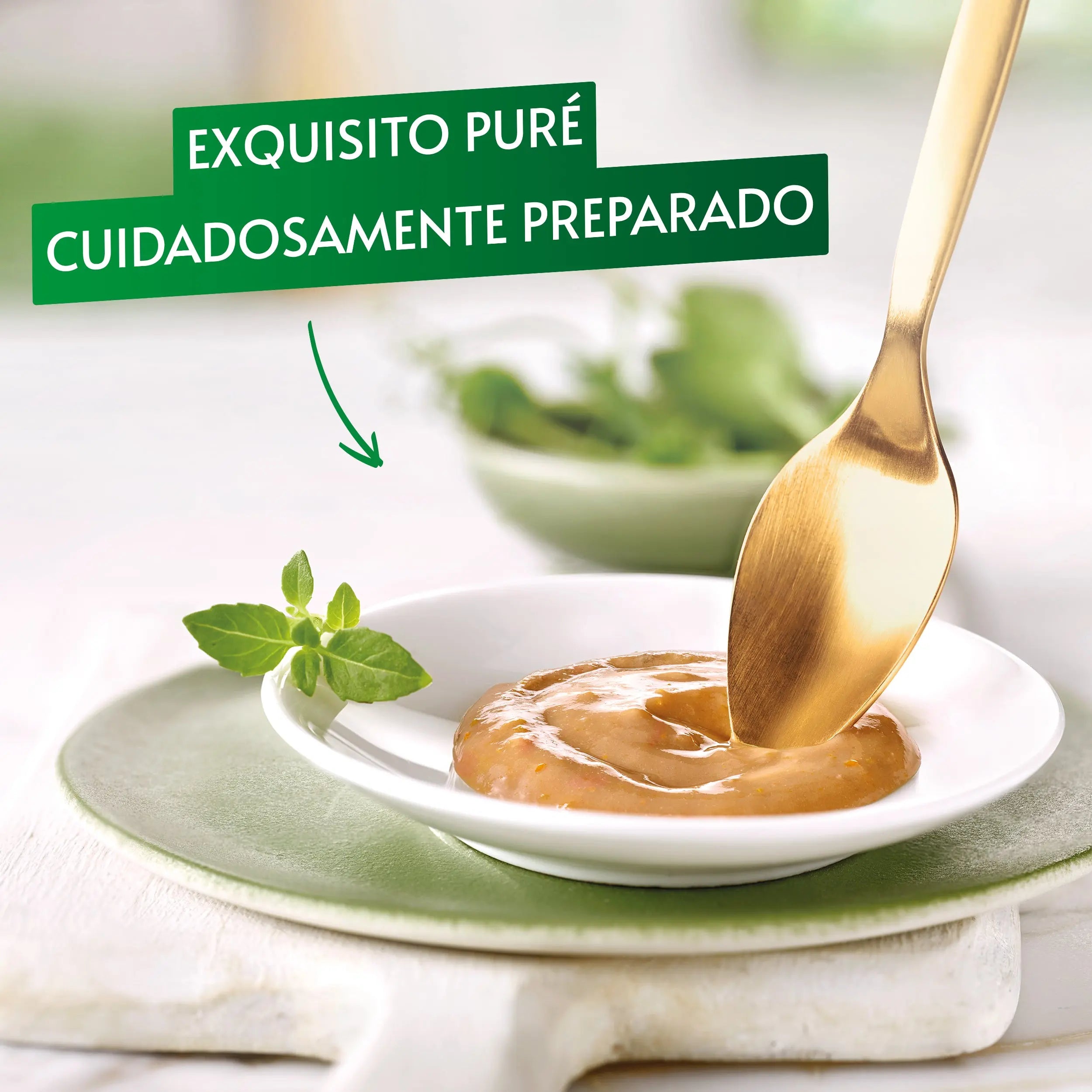 Gourmet Nature'S Creations Pure Buey&Tomate 5x10 g al mejor precio -todoastorenimal.com