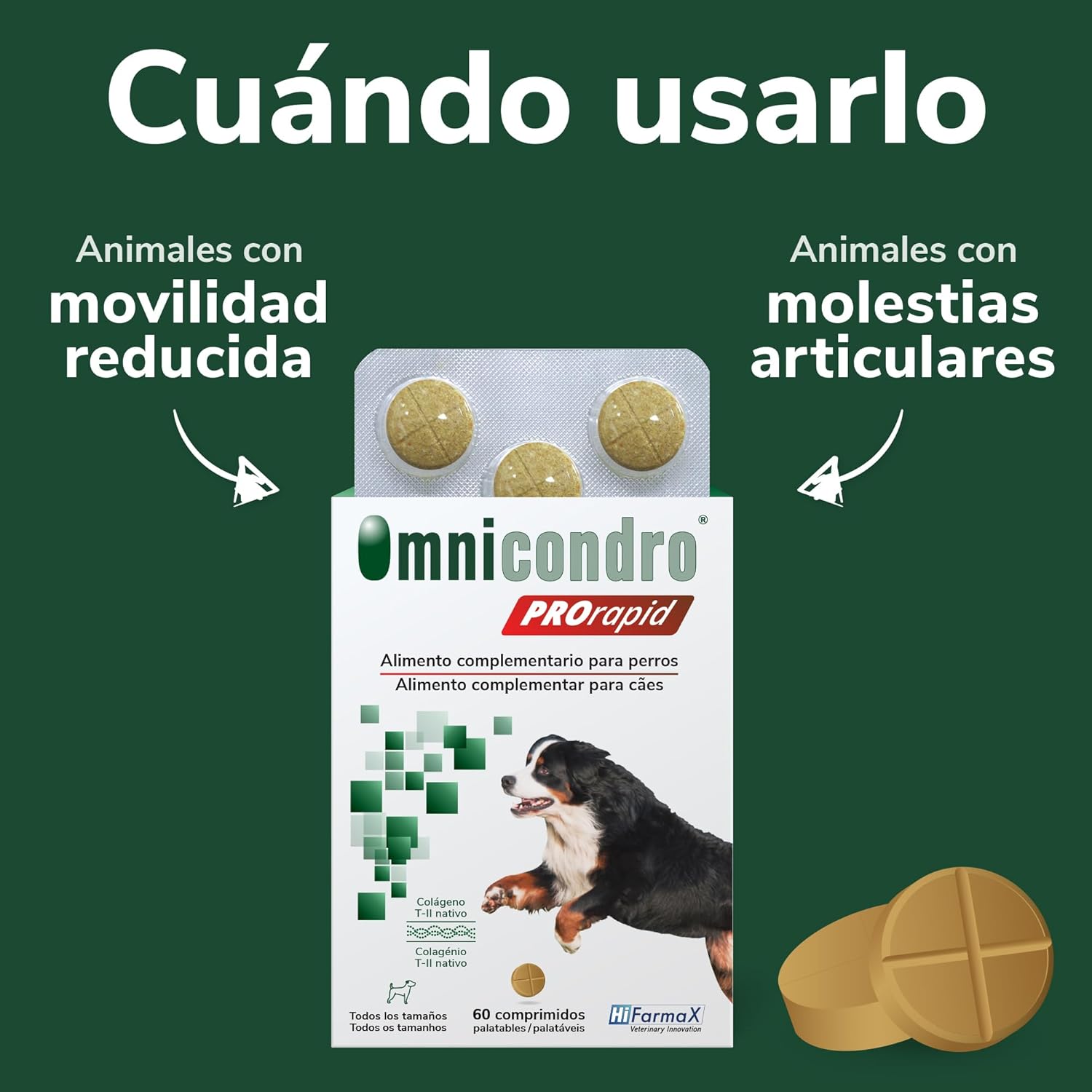 Hifarmax Omnicondro ProRapid 60 Comprimidos Suplemento Condroprotector para Perros al mejor precio -todoastorenimal.com