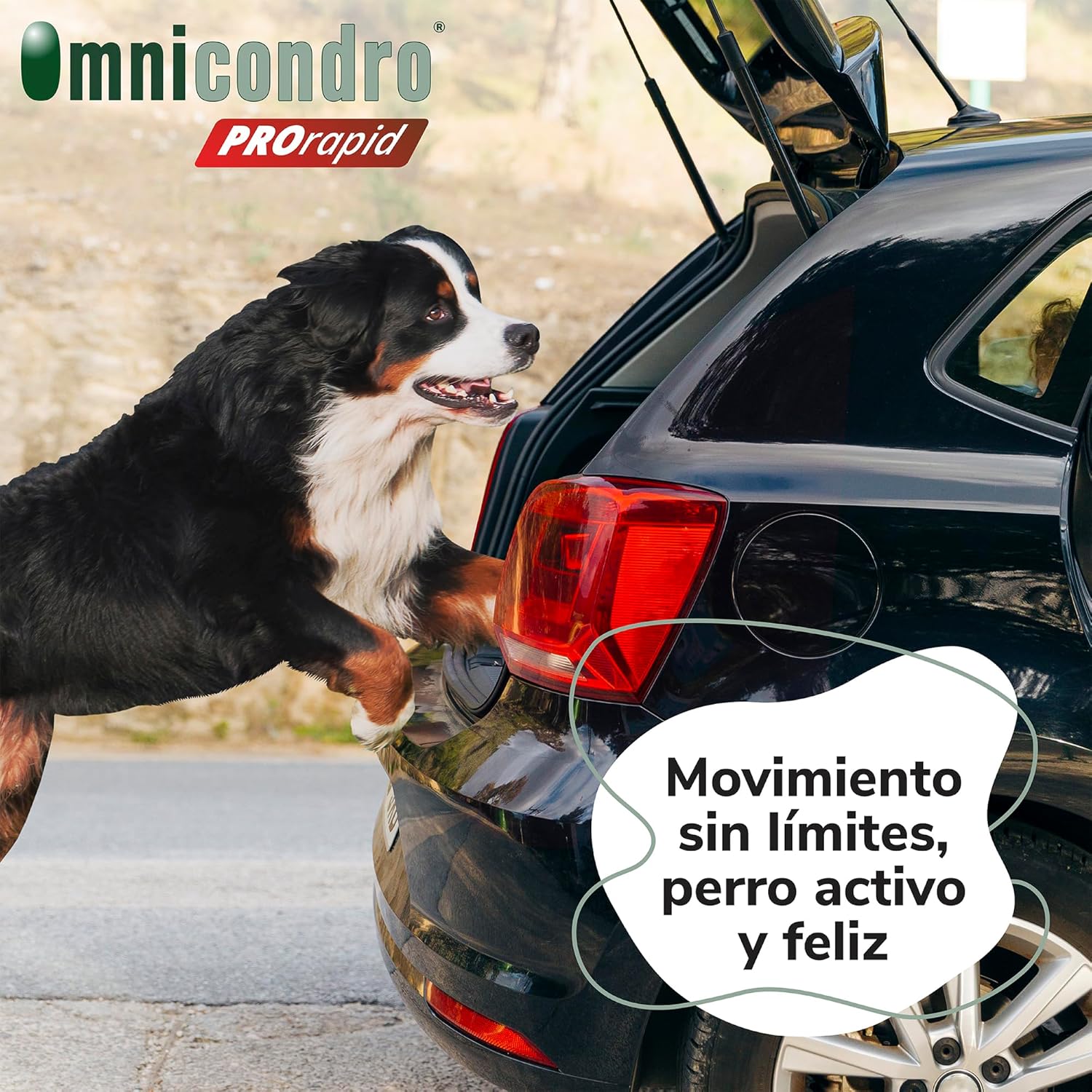 Hifarmax Omnicondro ProRapid 60 Comprimidos Suplemento Condroprotector para Perros al mejor precio -todoastorenimal.com